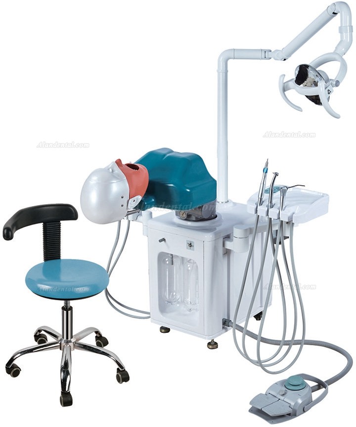 Jingle JG-A2 Dental Student Training Solution Surgery Practice Simulation Unit Compatible with Nissin Kilgore/Frasaco